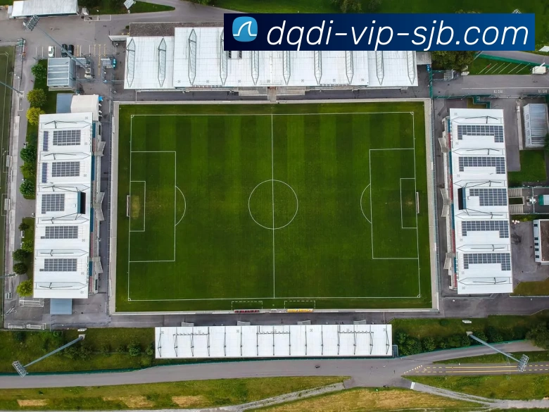 多媒体互动体验