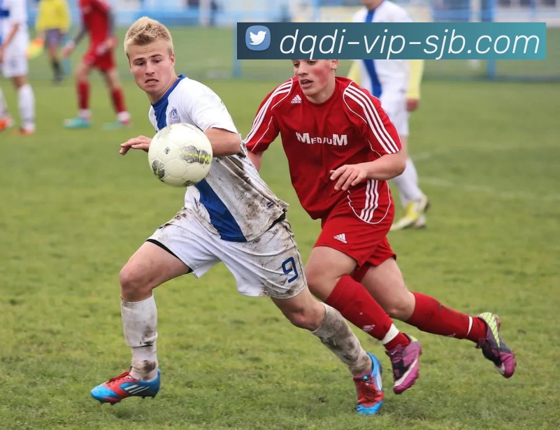 竞彩网，竞彩网官网，竞彩网官方网站，竞彩网入口，竞彩网APPAPP 体育赛事宣传图